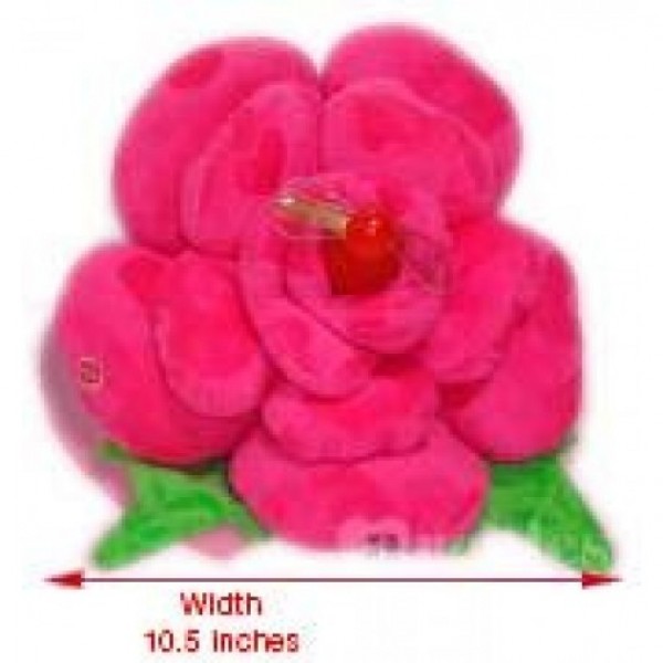 Pink Love Rose 